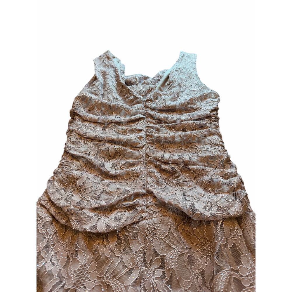 NW Taupe Nightway Lace Gown - Size 10 - Picture 15 of 16